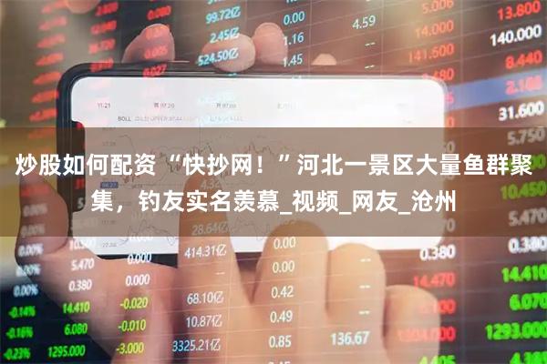 炒股如何配资 “快抄网！”河北一景区大量鱼群聚集，钓友实名羡慕_视频_网友_沧州