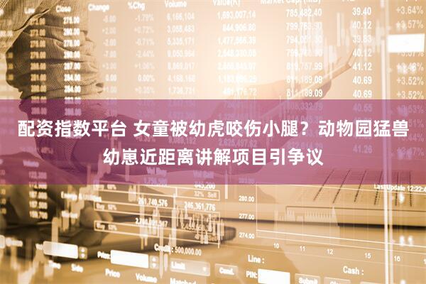配资指数平台 女童被幼虎咬伤小腿？动物园猛兽幼崽近距离讲解项目引争议