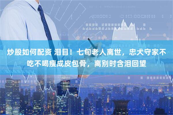 炒股如何配资 泪目！七旬老人离世，忠犬守家不吃不喝瘦成皮包骨，离别时含泪回望